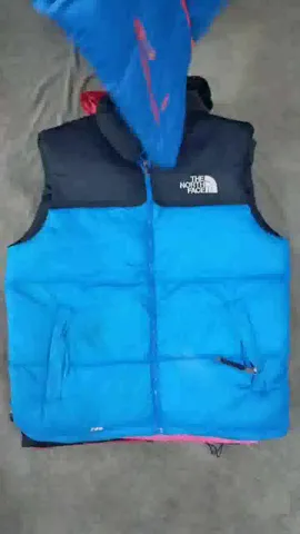 CR1558 The North Face Mix Series Vest - 21 Pcs